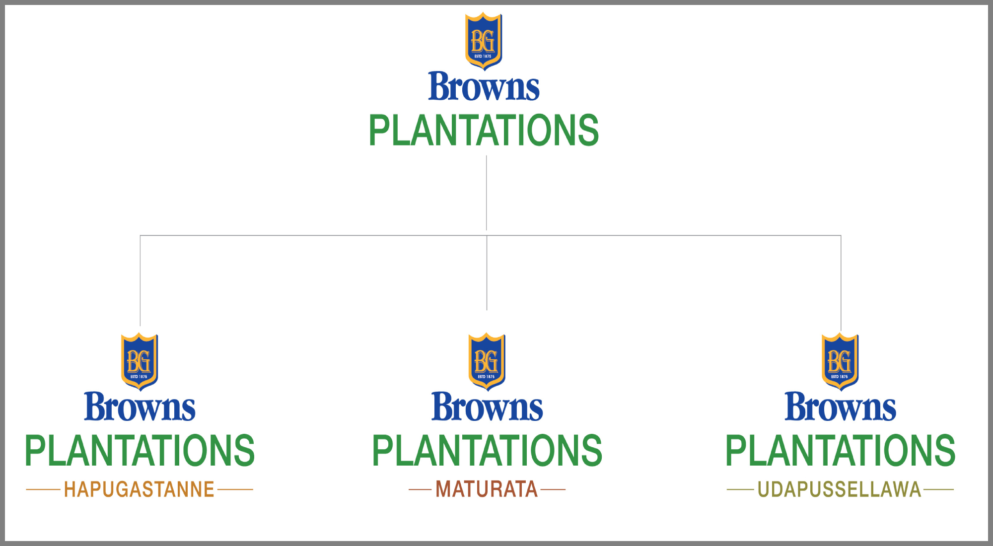 A New Brand Identity for Browns Plantations Sector