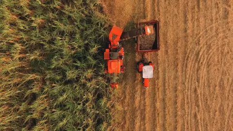 Agriculture